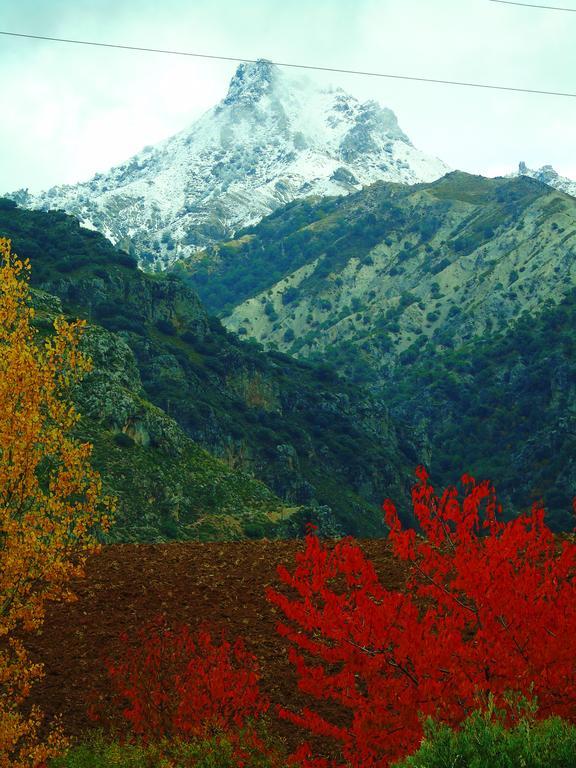 Apartamentos Turisticos Cumbres Verdes لا ثوبيا المظهر الخارجي الصورة